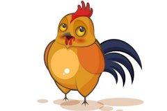 属鸡配什么属相最为幸福