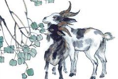 2019年处女座属羊的运势