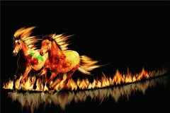 生肖配对:属马和什么属相最配