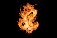 龙年的吉祥物是什么？