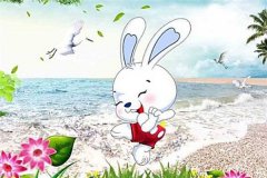 属兔的什么时候出生最好