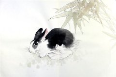 兔年出生的人是什么命