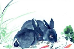 2019年属兔的人今年是几岁