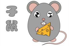 十二生肖中属鼠的人命运如何？几点出生最好？