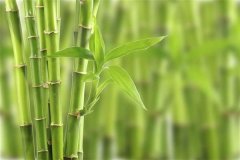 十二星座吃醋表现