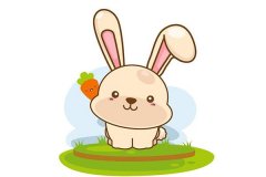 属兔的人2011年运程