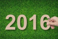 麦玲玲2016年生肖运程