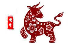 属牛2019年运势及运程