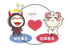 双子座爱情,双子座和12星座的爱情