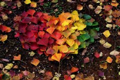 经典情诗100首【情诗大全】