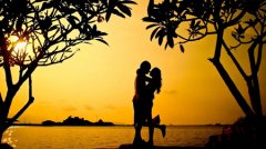 处女座爱情,处女座和12星座的爱情