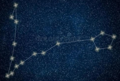 双鱼座是什么象星座:水象星座