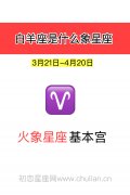 白羊座是什么象星座:火象星座