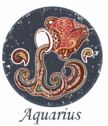 水瓶座恋爱心机