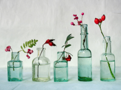 什么爱情关系最不能让水瓶座接受