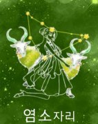 摩羯座光棍节表白能否修成正果