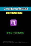天蝎座女生的爱情观
