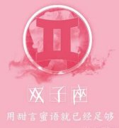 双子男欢女爱VS情人