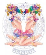 令双子座“怦然星动”的表白情话