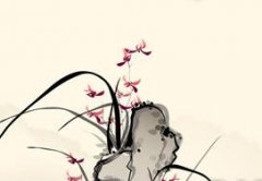 解读白羊座无法避免的爱情障碍