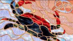 巨蟹男最讨厌女人怎么对他