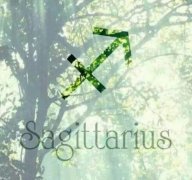 如何搞定射手男，搞定射手男的秘籍