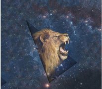 狮子座女生最需要什么类型男生？