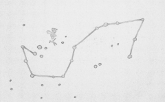 天蝎座女生内心认为门当户对重要吗？