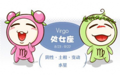 处女座的女生适合做什么生意？