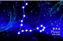 双鱼座女生喜欢暖男还是硬汉