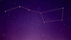 小熊座特点,你具体知道哪些？