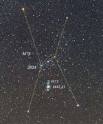 猎户座星图精选,猎户座图片大全