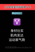 美丽指数第八名：上升白羊座——身材壮实，肌肉发达，运动家气势
