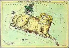 星空版星座图标