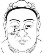 5.面相第五宫：子女宫