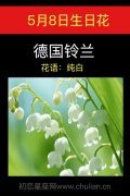 5月8日生日花：德国铃兰