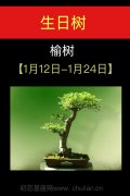 1月12日-1月24日(榆树)