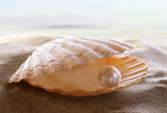 10月08日诞生石：珍珠