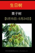 5月15日-5月24日(栗子树)