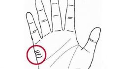 再婚男人手相详解大全