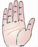 生命线破损或成梯状是什么意思？