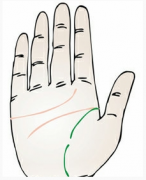 生命线中途断开代表了什么？