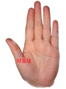 财富线之大拇指横纹