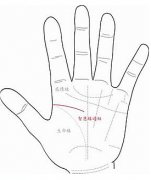 智慧线很短或中断，代表没脑筋吗？