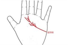 感情线分三叉手相图解