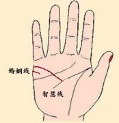 婚姻线下垂到智慧线 相连会有什么含义？