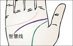 智慧线详解！