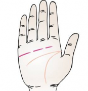 感情线断开手相算命