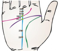 感情线很长手相算命