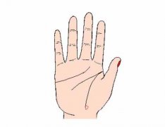 生命线末端有岛纹